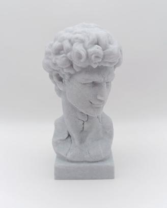 Busto Fratturato David di Michelangelo Stampa 3D