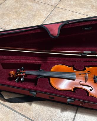 Violino