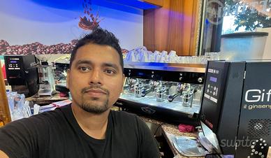 Barista, Banchista , Aiuto cameriere