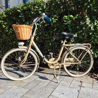Bicicletta pieghevole da donna