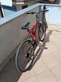 Bicicletta 26