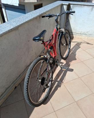 Bicicletta 26