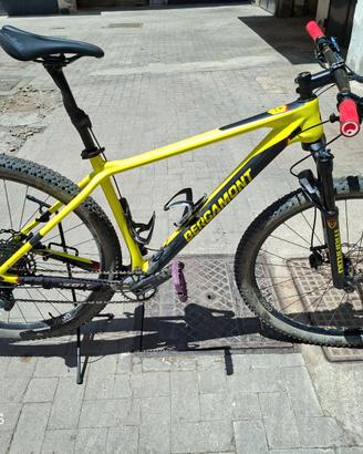 MTB Bergamont Revox (gruppo Scott) - Misura L