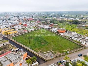 Terreno Edificabile - Copertino