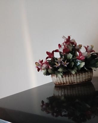 centrotavola in ceramica