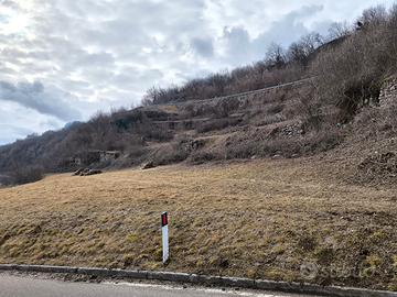 Vendita terreni agricoli