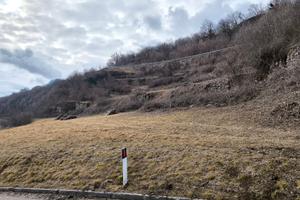 Vendita terreni agricoli