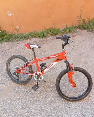 bici/bike  20 Marangoni