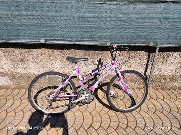 bicicletta MTB
