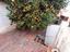 Immagine 18