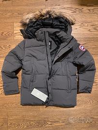 Canada goose grigio
