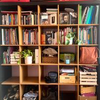 Ampia libreria minimale in legno