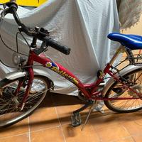 bicicletta 24"