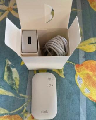 Blink Sync module 2