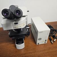 Olympus BX61 Microscopio professionale