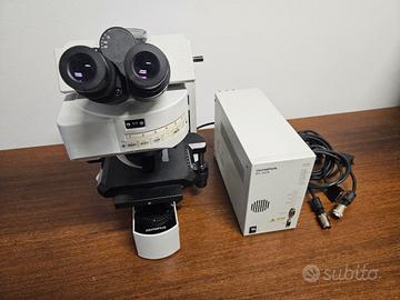 Olympus BX61 Microscopio professionale