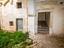 Immagine 7