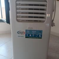 Climatizzatore/Pinguino portatile