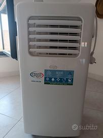 Climatizzatore/Pinguino portatile