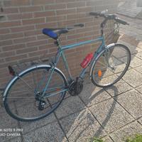 bicicletta da uomo