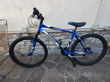 MTB Casadei 26 pollici stike