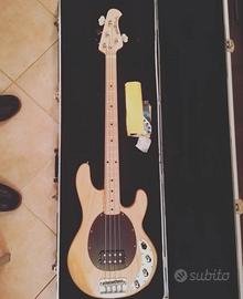 Music man Stingray