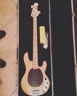 Music man Stingray