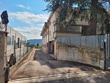 Capannone e ufficio 50 mq