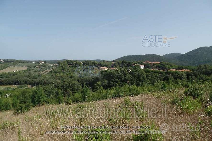 Terreno Agricolo San Vincenzo [A4359763] - Altro