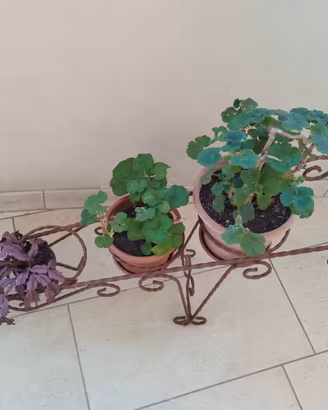 Carrello porta vasi in ferro battuto.