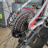 Mtb 29" Specialized