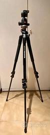 Cavalletti Manfrotto 190XPROB più 680B