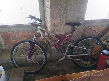 Bicicletta mountain bike