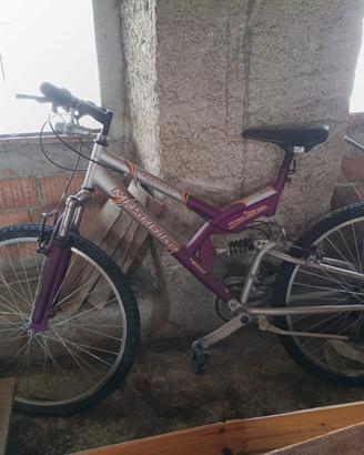 Bicicletta mountain bike