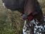 Immagine 1