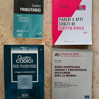 Manuali Giurisprudenza