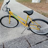 bicicletta da donna 