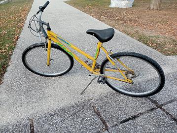 bicicletta da donna 