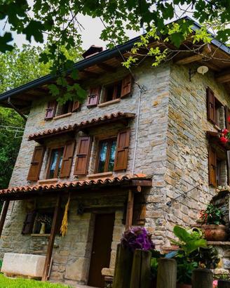 Rif.1379| casa ind. farini