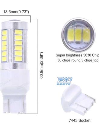 LAMPADA LED T20 BIANCA 33 LED SMS CANBUS