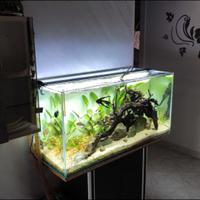 Plafoniera acquario zetlight lancia 2