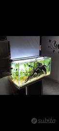 Plafoniera acquario zetlight lancia 2