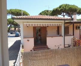 Marina di Grosseto,bilocale dal 13 al 27 settembre