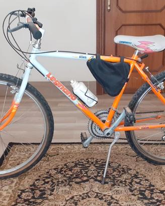 bicicletta 
