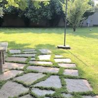 Lastre in pietra naturale per giardino.