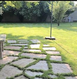 Lastre in pietra naturale per giardino.