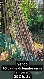 40 canne di bambù varie misure 