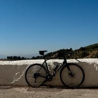 Bici da corsa - Trek Domane AL 2 Disc 2021