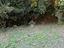 Immagine 12