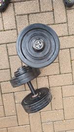 Coppia di manubri 24 kg